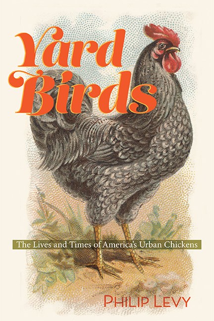 Yard Birds by Philp Levy cover image