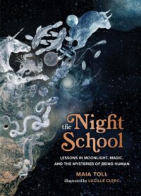 Night School cover image